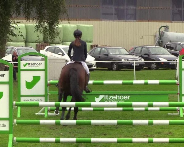 Reitturnier Kellinghusen 2019