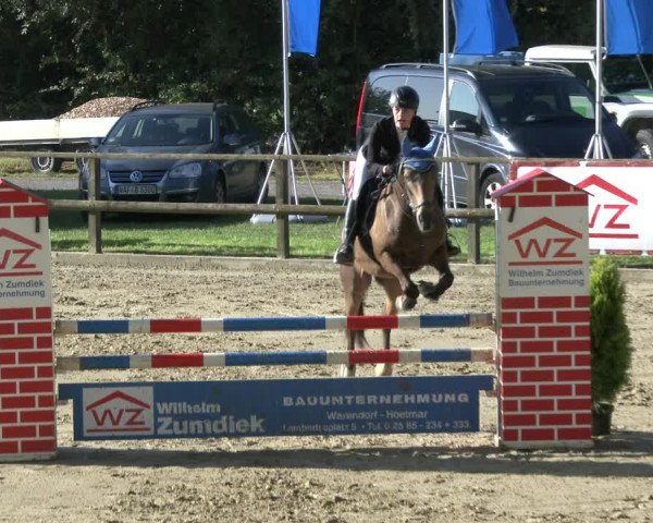 Reitturnier Albersloh 2019