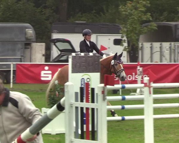 Reitturnier Kellinghusen 2019