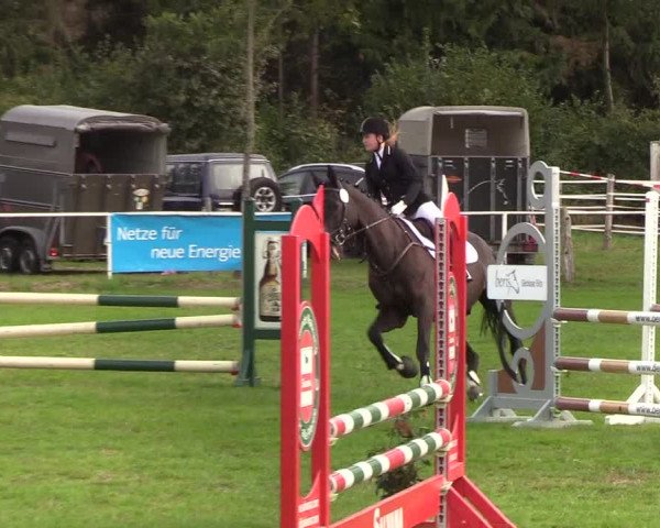 Reitturnier Kellinghusen 2019