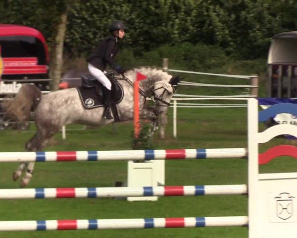 Reitturnier Kellinghusen 2019