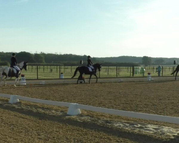 Reitturnier Swisttal-Miel 2019