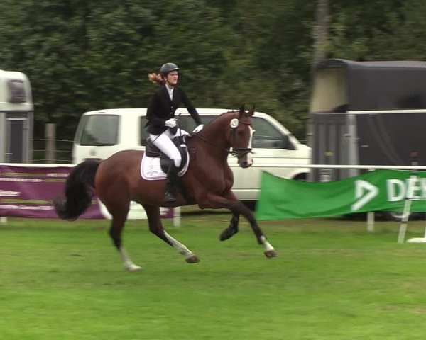 Reitturnier Kellinghusen 2019