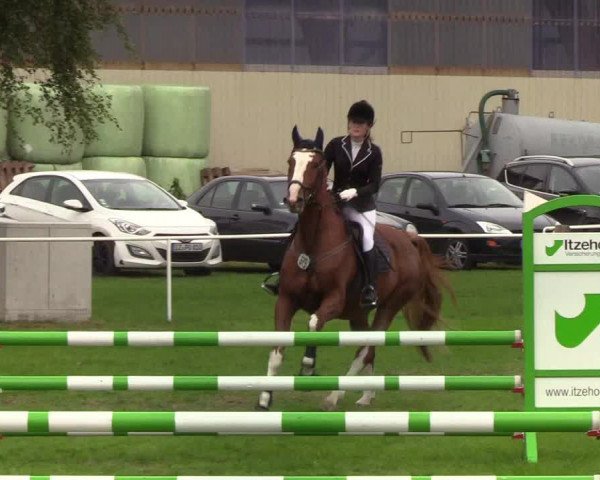 Reitturnier Kellinghusen 2019