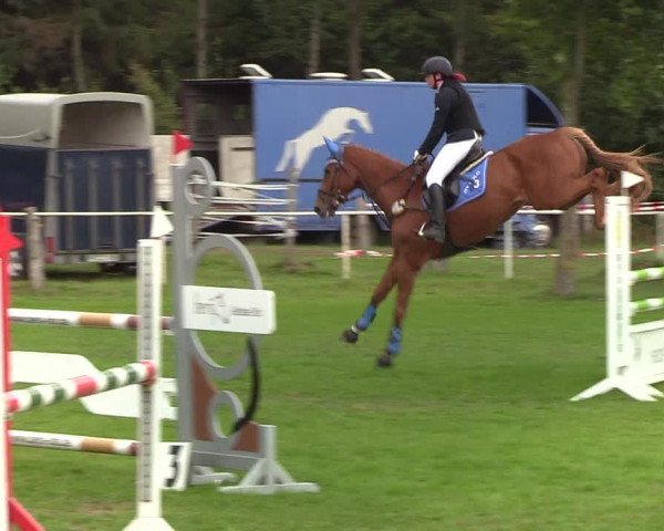 Reitturnier Kellinghusen 2019
