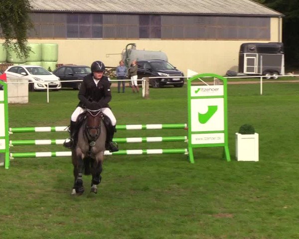 Reitturnier Kellinghusen 2019