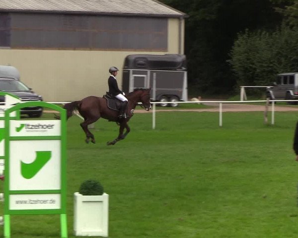 Reitturnier Kellinghusen 2019