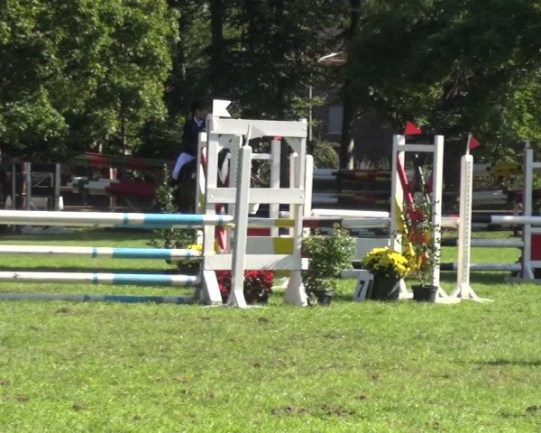 Reitturnier Würselen-Pley 2019