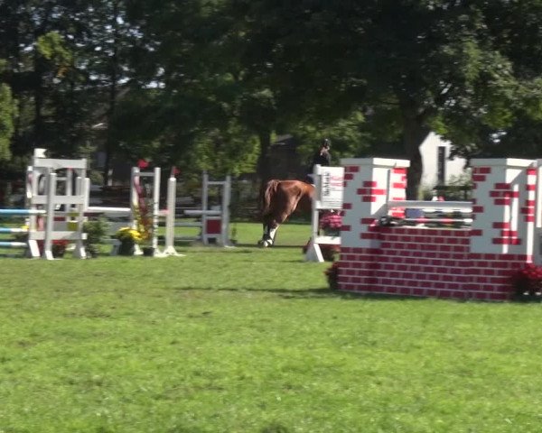 Reitturnier Würselen-Pley 2019