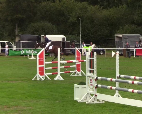 Reitturnier Kellinghusen 2019