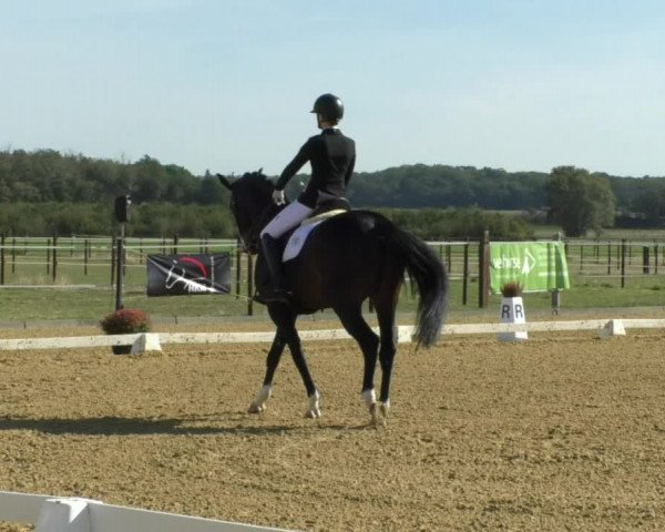 Reitturnier Swisttal-Miel 2019