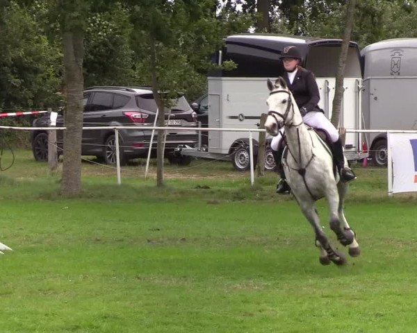 Reitturnier Kellinghusen 2019