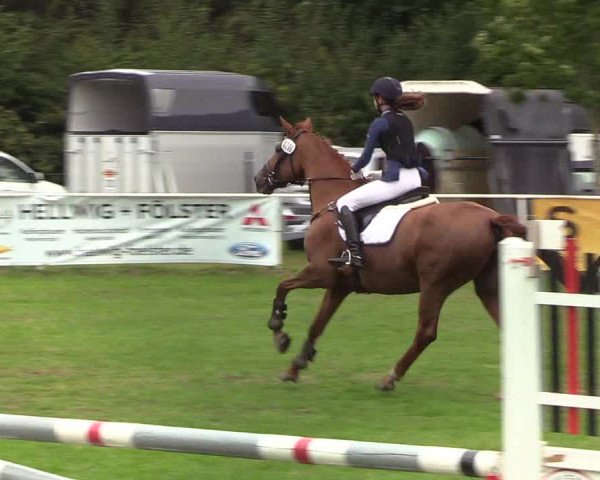 Reitturnier Kellinghusen 2019