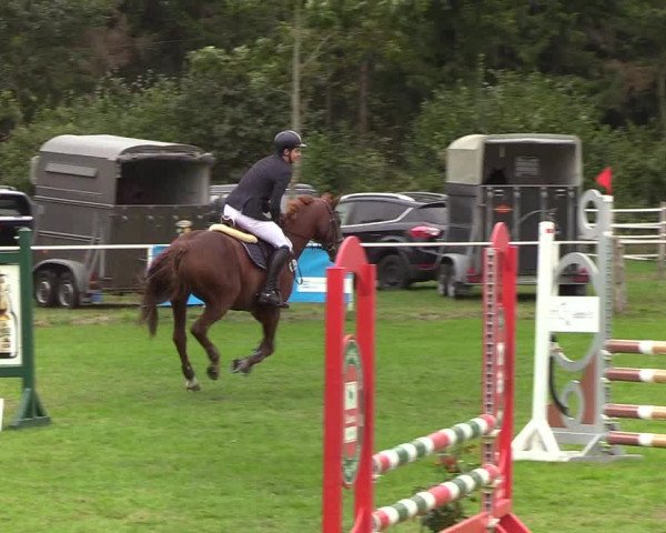 Reitturnier Kellinghusen 2019