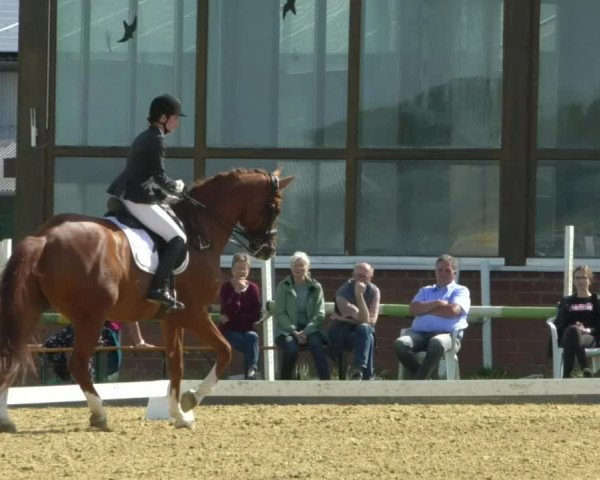 Reitturnier Swisttal-Miel 2019