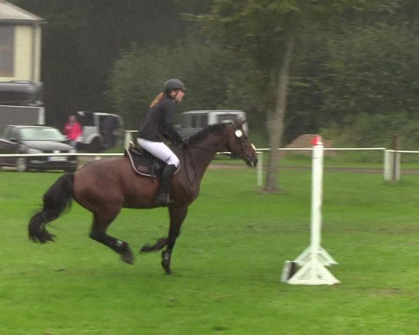 Reitturnier Kellinghusen 2019