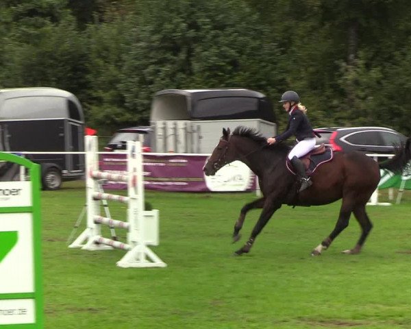 Reitturnier Kellinghusen 2019