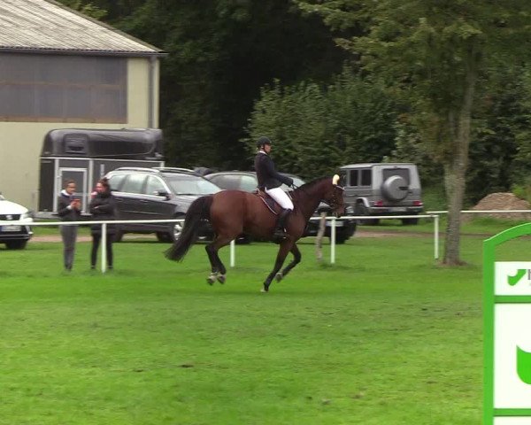Reitturnier Kellinghusen 2019
