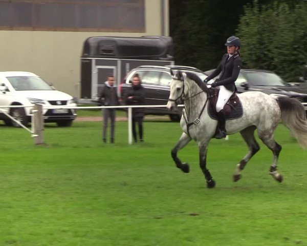 Reitturnier Kellinghusen 2019