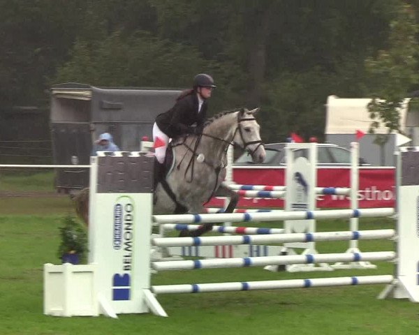 Reitturnier Kellinghusen 2019