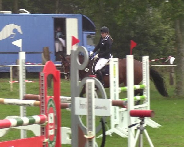 Reitturnier Kellinghusen 2019