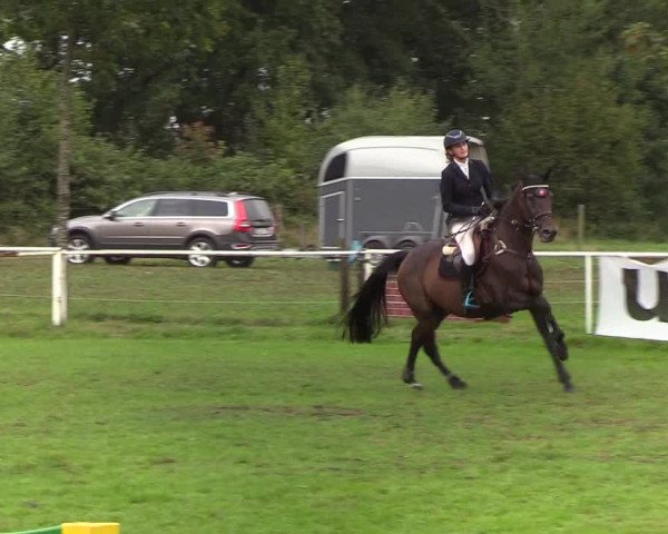 Reitturnier Kellinghusen 2019