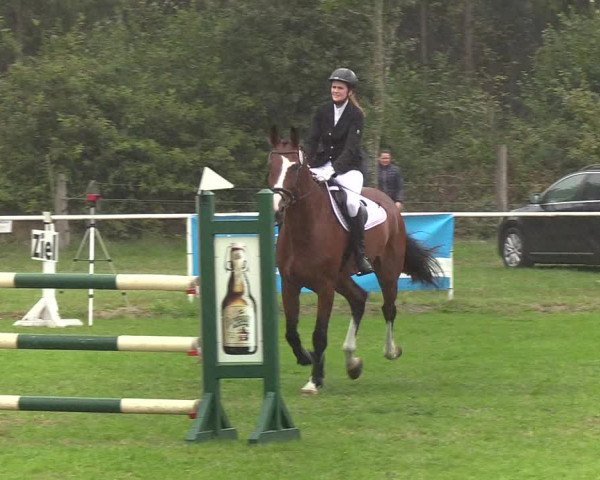 Reitturnier Kellinghusen 2019