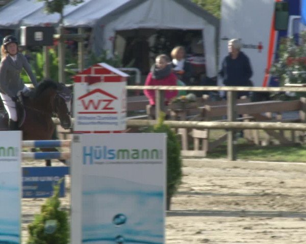 Reitturnier Albersloh 2019