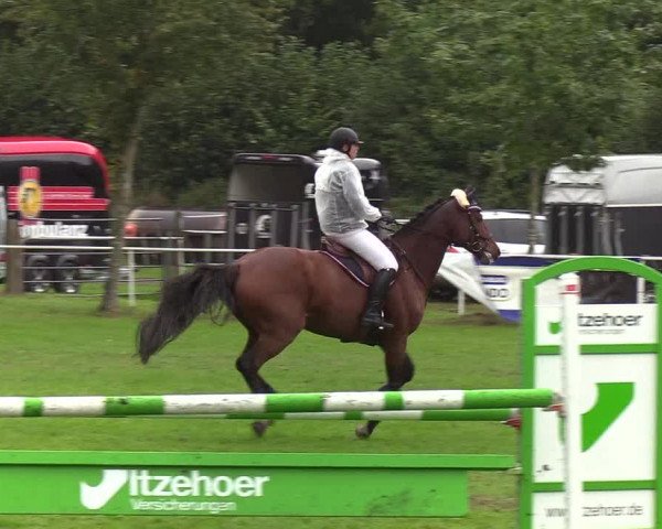 Reitturnier Kellinghusen 2019