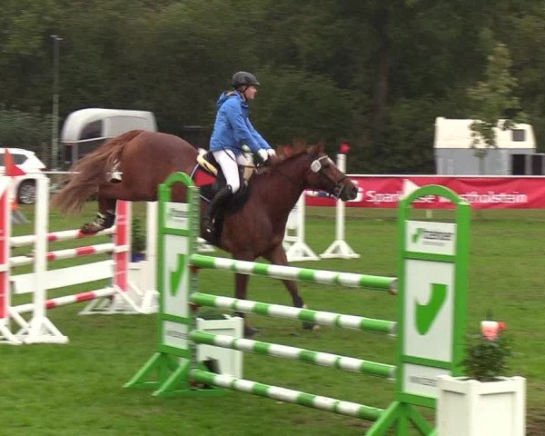 Reitturnier Kellinghusen 2019