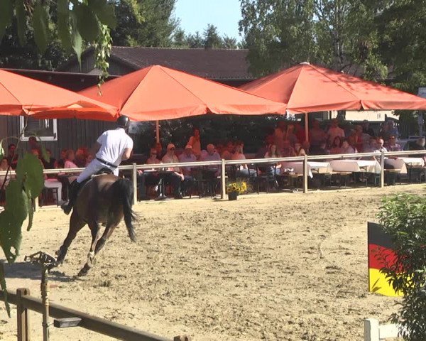 Reitturnier Walldorf/Winterheck 2019