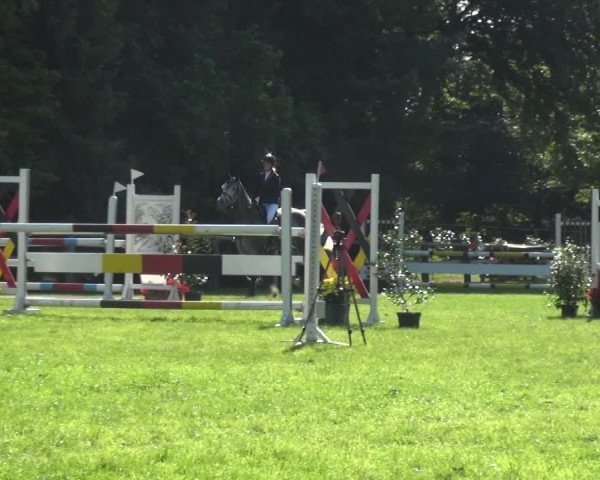 Reitturnier Würselen-Pley 2019
