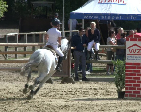 Reitturnier Albersloh 2019