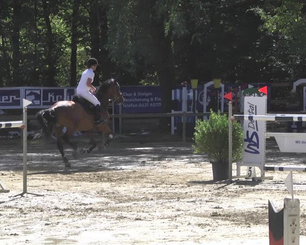 Reitturnier Walldorf/Winterheck 2019