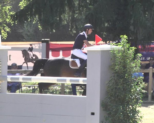 Reitturnier Walldorf/Winterheck 2019