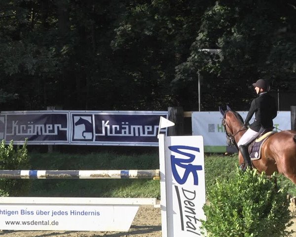 Reitturnier Walldorf/Winterheck 2019