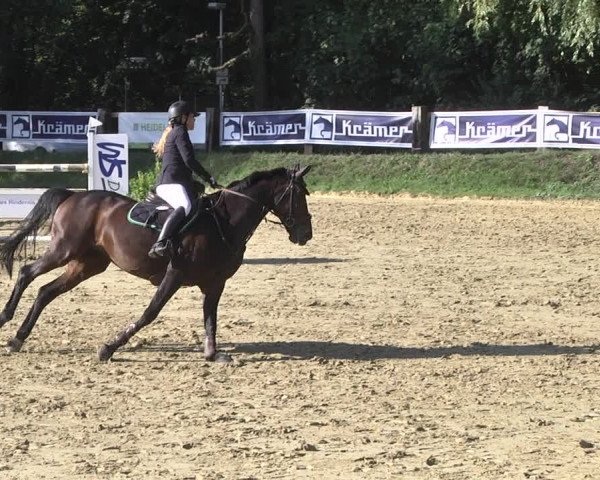 Reitturnier Walldorf/Winterheck 2019
