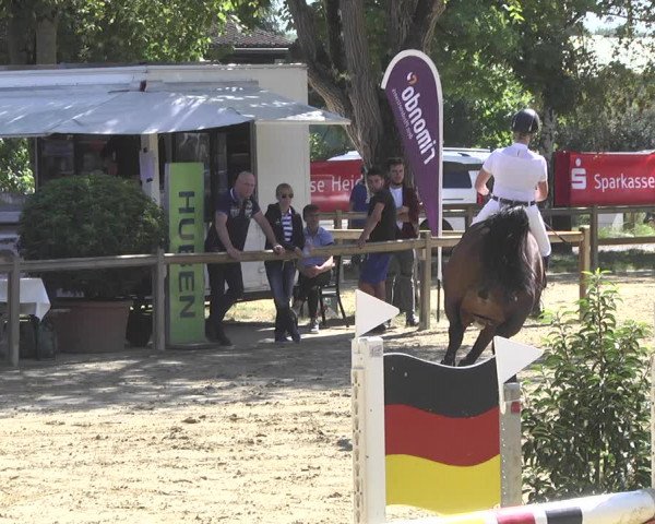 Reitturnier Walldorf/Winterheck 2019
