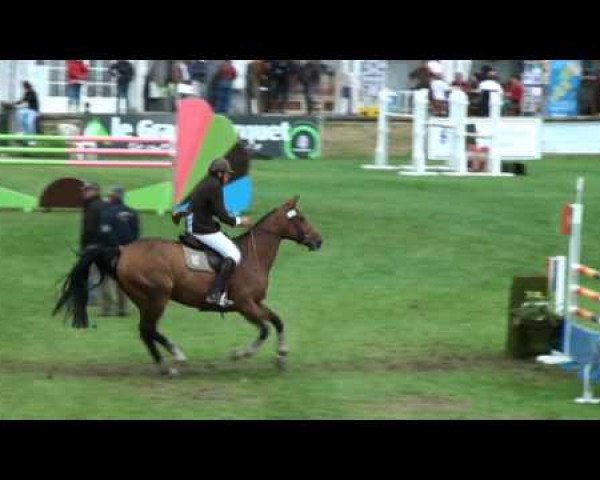 broodmare Querelle de Talma (Selle Français, 2004, from Jeff D'Or)