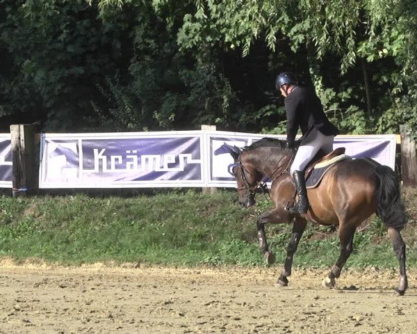 Reitturnier Walldorf/Winterheck 2019