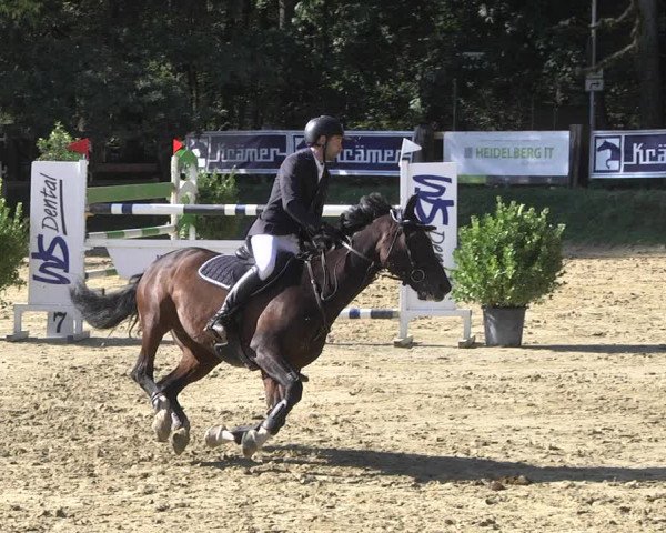 Reitturnier Walldorf/Winterheck 2019