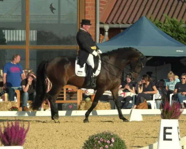 Reitturnier Swisttal-Miel 2019