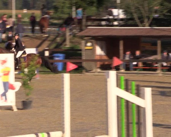 Reitturnier Buchenhof-Ibbenbüren 2019