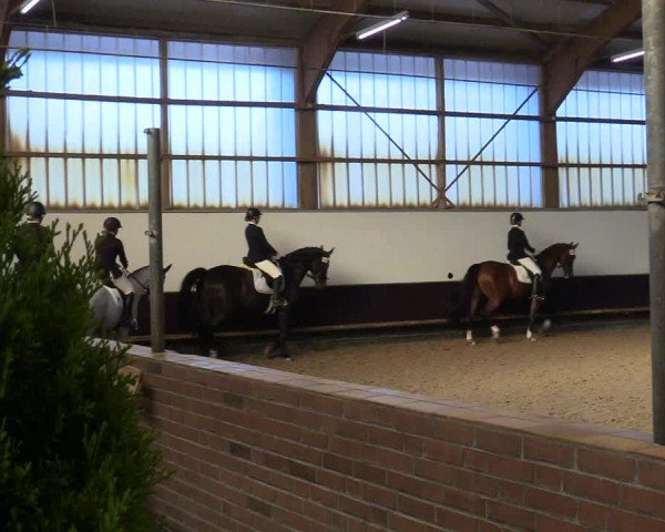 Reitturnier Albersloh 2019