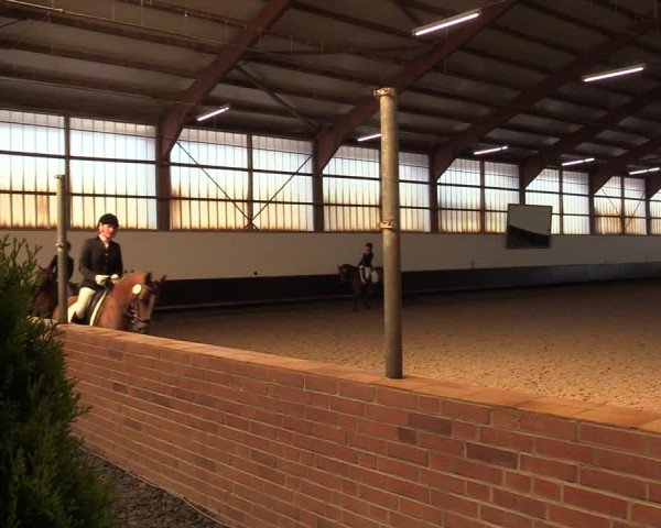 Reitturnier Albersloh 2019