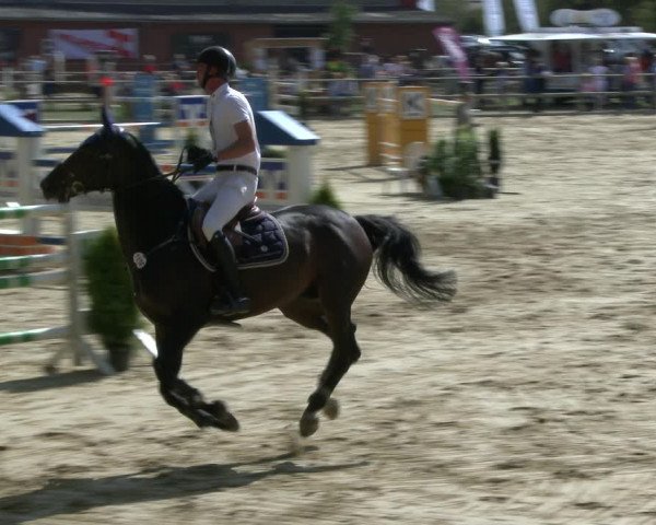 Reitturnier Albersloh 2019