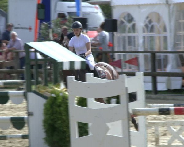 Reitturnier Albersloh 2019