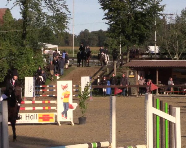 Reitturnier Buchenhof-Ibbenbüren 2019