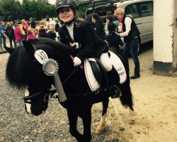 dressage horse Lucky Star (Welsh-Pony (Section B), 1996)