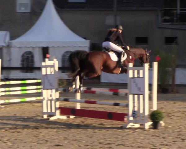 Reitturnier Buchenhof-Ibbenbüren 2019